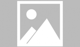 电视剧暖春演员表