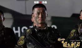 何晨光是什么电视剧,军旅青春的荣耀岁月